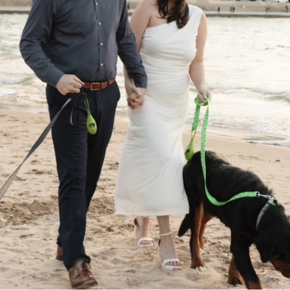 Green Dog Leash